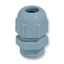 Cable Glands