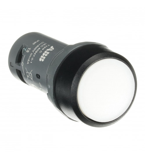 1SFA619100R1075 ABB CP1-10W-11 Pushbutton