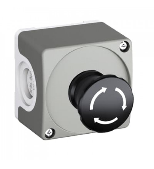 1SFA619811R1001 ABB CEP1-1001 Enclosure