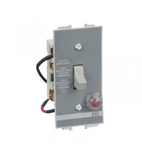 2510FO2P - Manual Starter, fractional horsepower, 16A, 2 poles, 1 HP at 277 VAC, toggle operated, red indicator, open style | Schneider Electric
