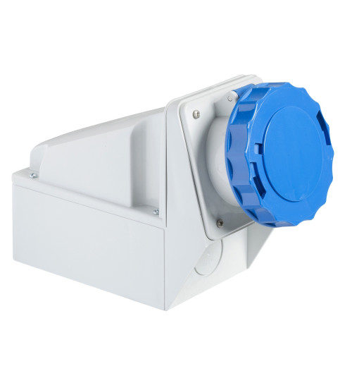 Schneider Electric 81178 - PratiKa industrial socket - 63 A - 2P + E - 200...250 V AC - IP67