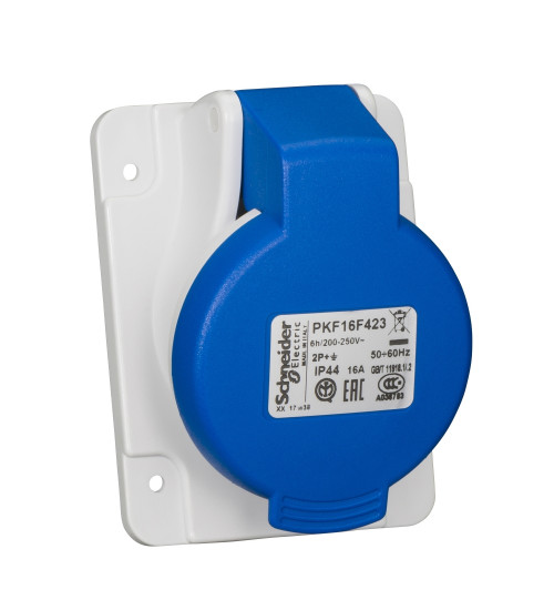 Schneider Electric PKF16F423 - PratiKa socket - screw - angled - 16A - 2P + E - 200...250 V AC - panel