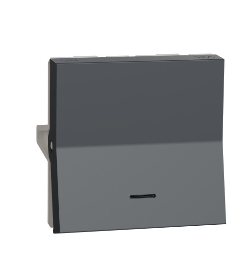 Schneider Electric UNS32DP2M_GY - Switch, Unica Pure, with indicator, 2-pole 1-way, 32A, 2 modules, pillar terminals, grey